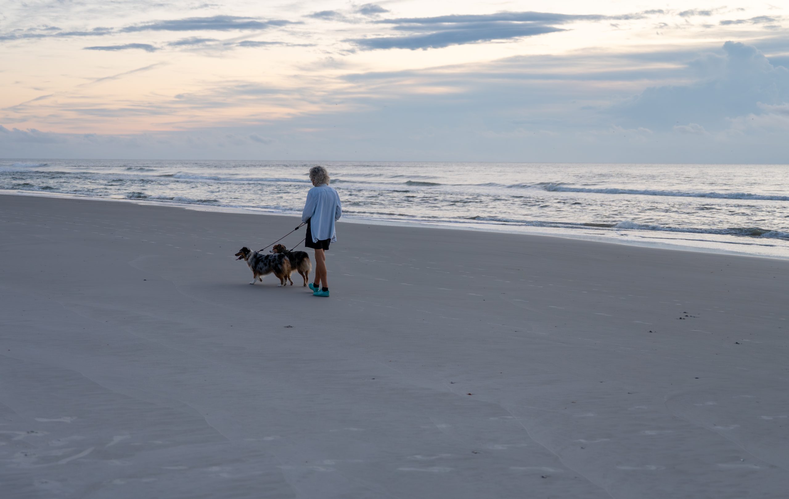 Taking the dogs for a stroll on the beach.