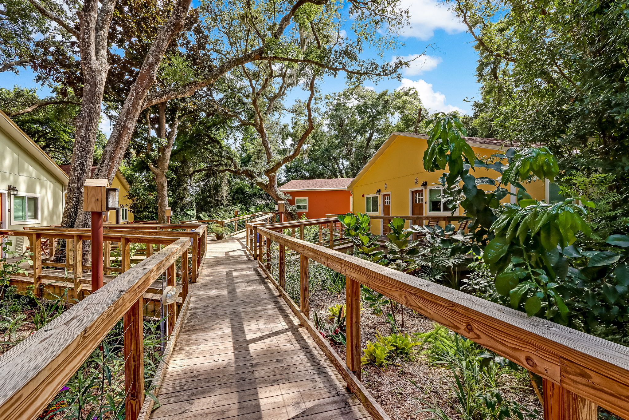 Sea Cottages of Amelia is surrounded by lush plants and trees